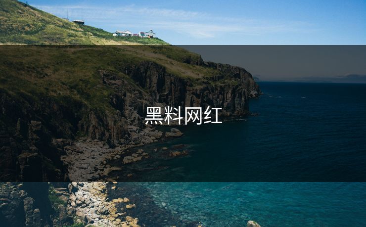 黑料网红